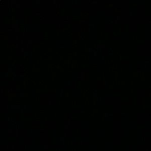 Meet your Posher, Lexi